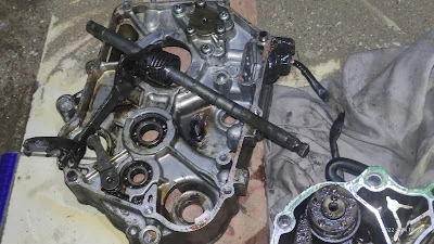 FM Motor