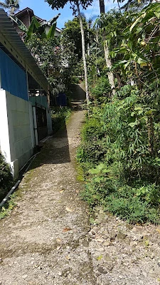 Bescamp JEJAK MISTERI BAGOL CHANEL