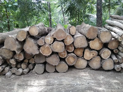 CV. Jaya Mandiri (Supplier Wood Teak)