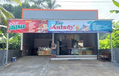 Toko Aulady