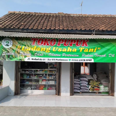 Benih Kangkung Unggul Pratama AgroNusa