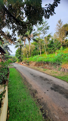 Ebok Kidul