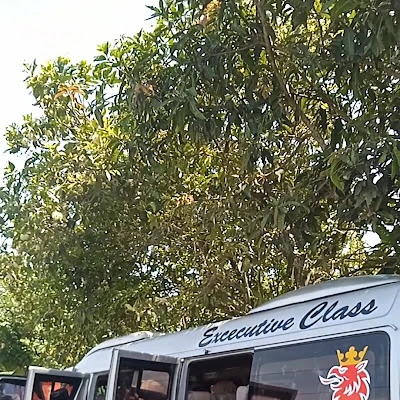 "Guweya Trans" Tour & Travel