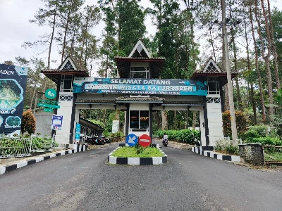 Palawi Klaster Banyumas
