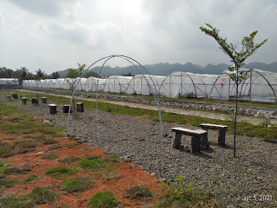 Eduwisata Tunnel Garam