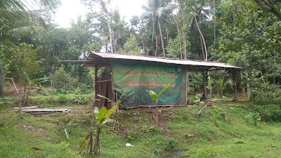 PONDOK PESANTREN QUR'ANY 4 (PPQ) Kopen Banjarnegara