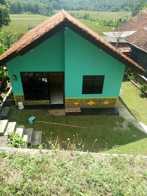 Eko Kodok