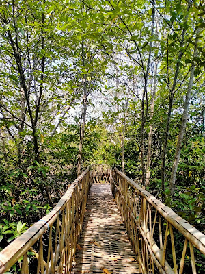Ekowisata SIMANJA (Konservasi Mangrove Jagapati)