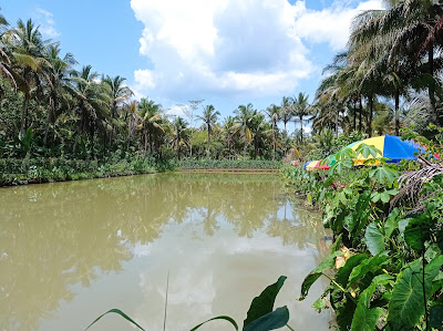 Empang Rawa Tilas Bojonggentong