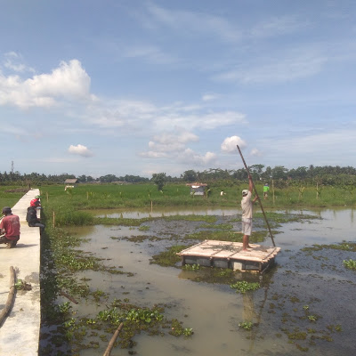 Emperan tempat nyonya Hana jualan es teh manis
