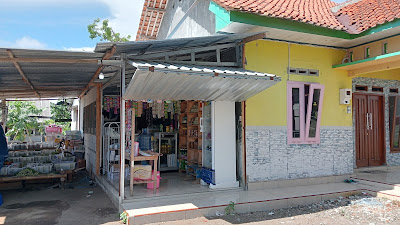 Esn Shop Menjual Berbagai Jenis Masker
