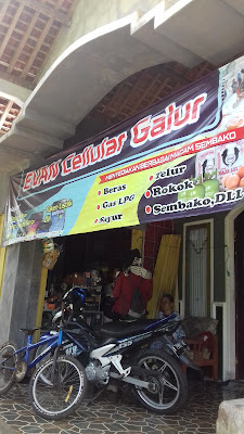 Evan Cellular Galur