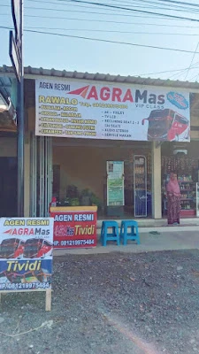 Agen Bus AGRAMAS dan TIVIDI Bayeman