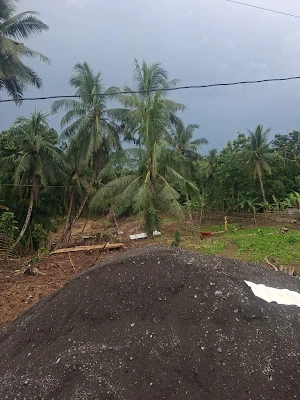 Cv.RISKIANA FAR.