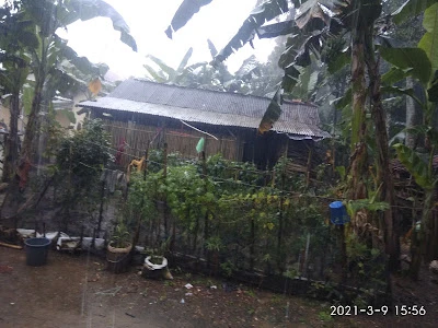 Mad Muji Home Stay