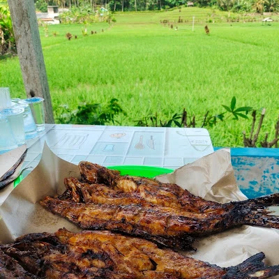 saung dahon66
