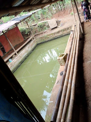 Kolam pemancingan dan Galatama lele ( tiga putri)