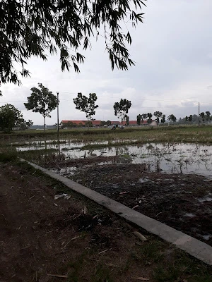 SD Negeri Nusawungu 02