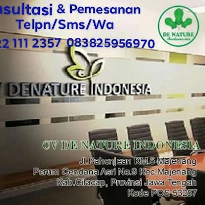 AGEN OBAT SIPILIS