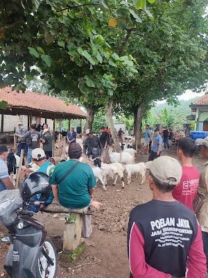 Ren Farm