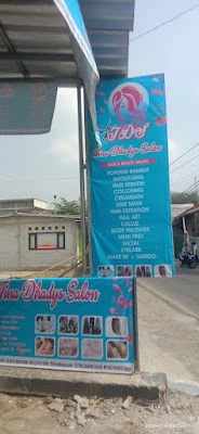 Tina Dhadys Salon