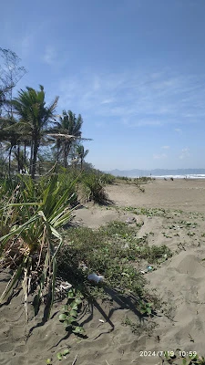 Pantai Galur Desa Pagubugan - Pagubugan Kulon