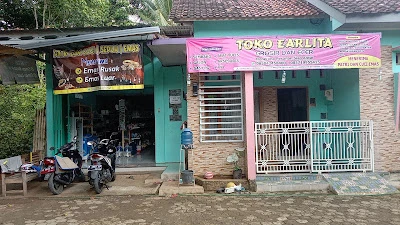 BRILINK Toko EARLITA