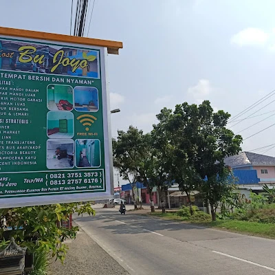 Bejo kost