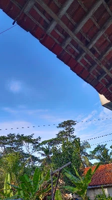 Rumah lala