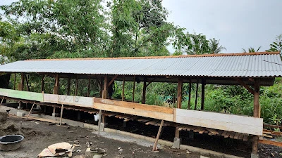 ADA FARM