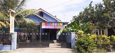Princess Laundry