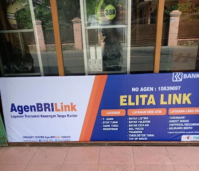 ELITA Link, AGEN BRILINK