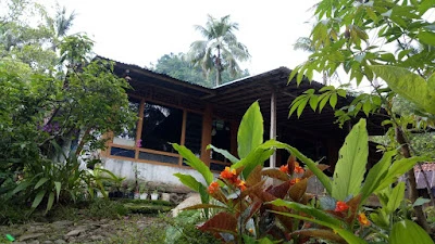 Homestay Mas Bud