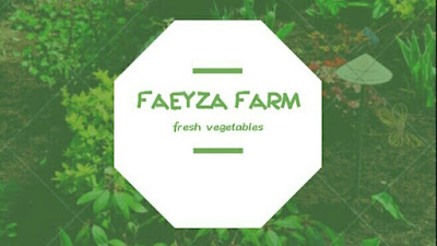 FAEYZA Farm
