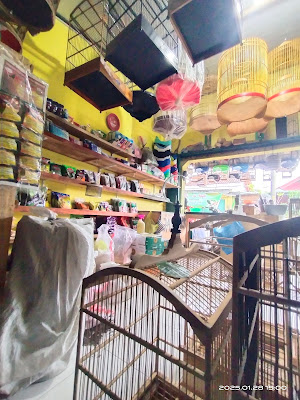 fa'i sangkar