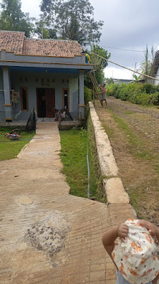 Fani Amalia