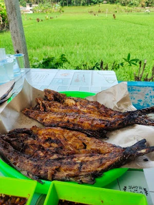 Saung Sawah Karapyak