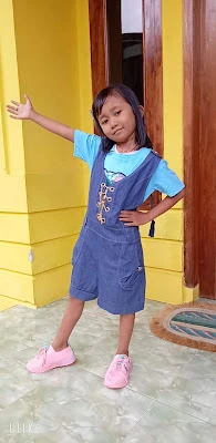 Aresfaida Collection dan Aresfaida Cell
