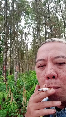 Sroto AYA
