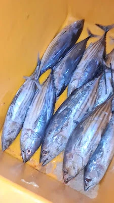 Kedai DCH CAHAYA