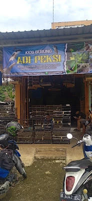 Adi peksi