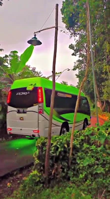 RIBOWO TRANS