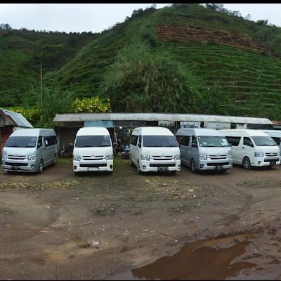 NGAPAK TRANS TOUR&TRAVEL