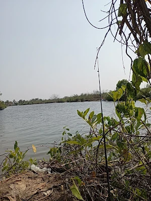 Sungai galur