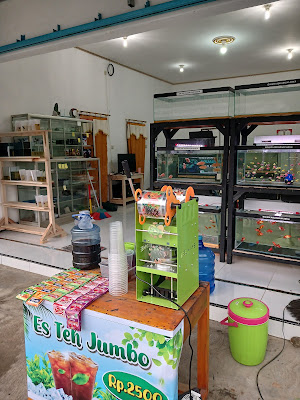 GALERI AQUARIUM ARKA