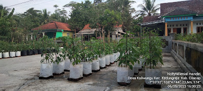 Gapoktan jangka sembada