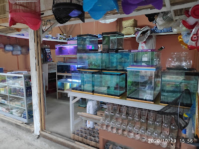 GARANDEWA Aquarium