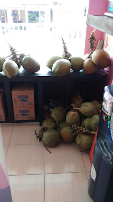 Gempi Kelapa muda