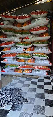 Giant Rabbit feed purwokerto