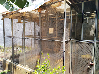 Gobel Bird Farm